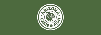 Arizona Game And Fish Commission To Meet Sept. 8 In Greer, Arizona
