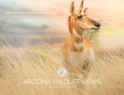 Arizona Wildlife Photo Contest