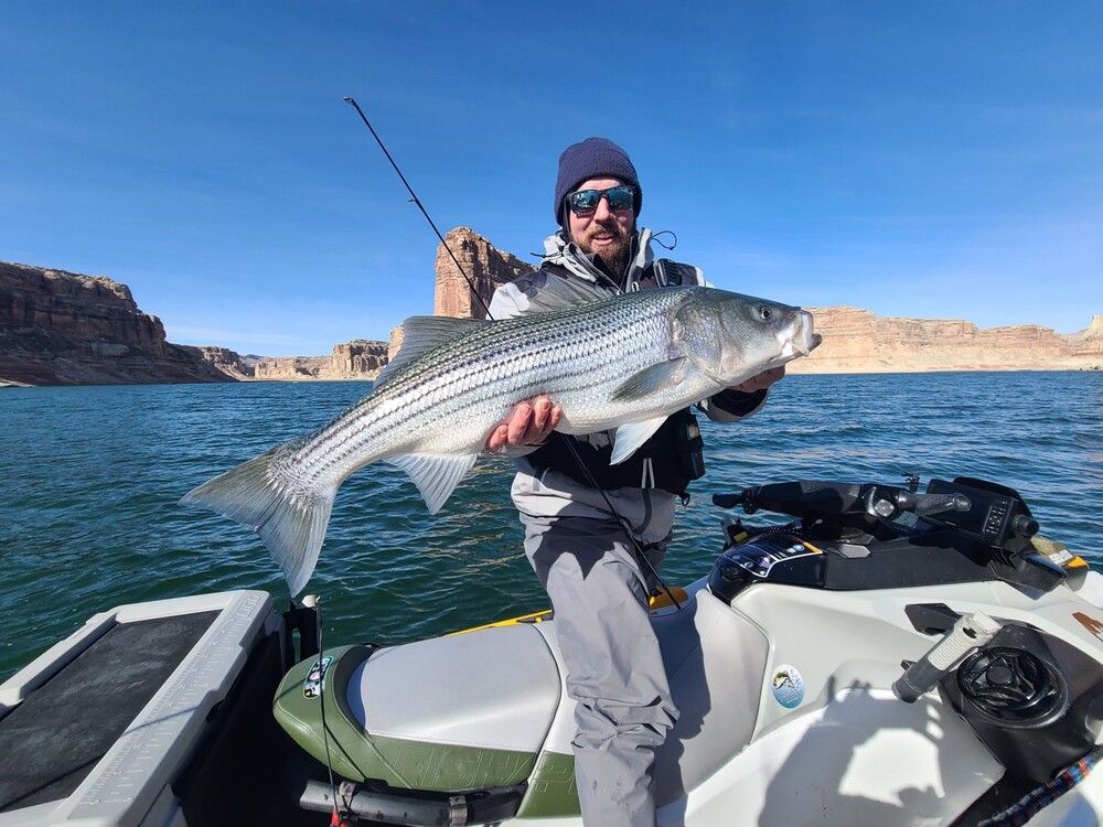 Lake Powell Report (midMarch '21) Western Outdoor Times