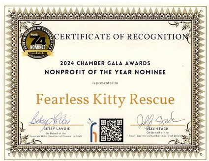 Fountain Hills Chamber Award